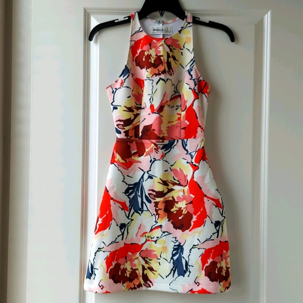 Abercrombie & Fitch Floral Abstract Dress XS